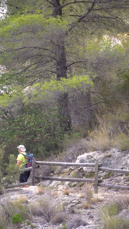 Male hiker walking in the forest at summer sunset
