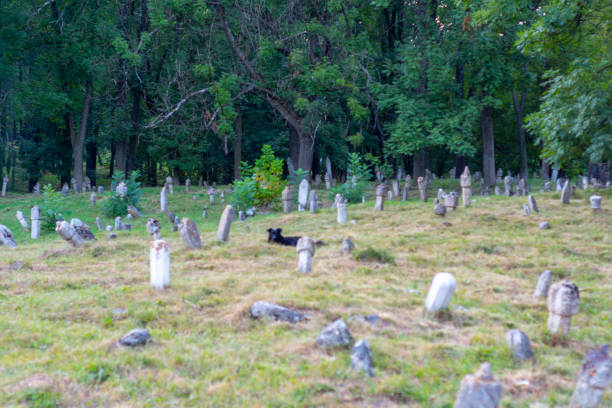 Old abandoned ottoman empire graveyard from 17th century