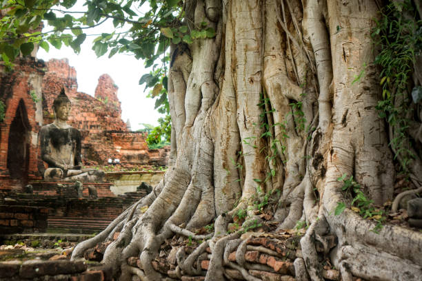 istock Buddha sculpture at ancient buddhist temple exterior in Ayutthaya 2166211921
