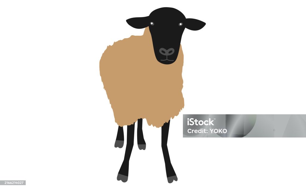 Sheep Front Vector Front View Illustration Of A Standing Suffolk Sheep Stock Illustration ...