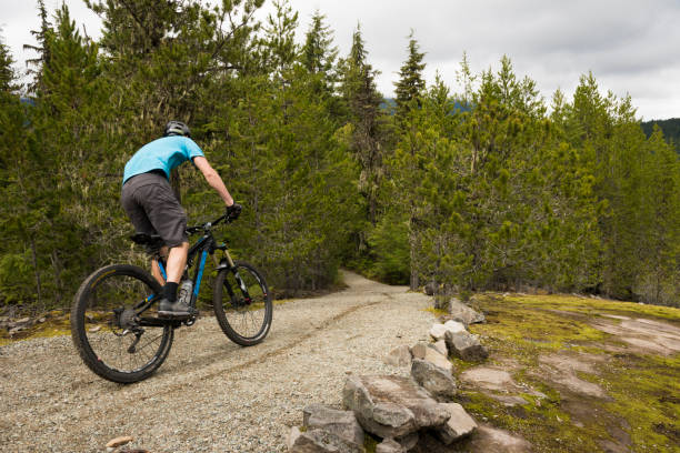 istock Mountain biker rides road in forest 2166214322