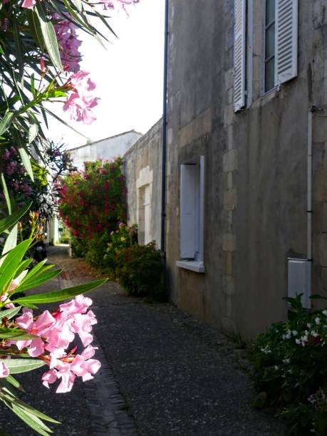 istock View of small houses 2166222561