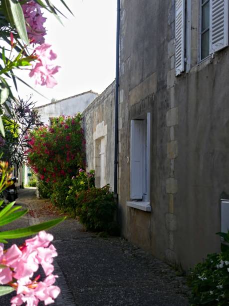 istock View of small houses 2166222562