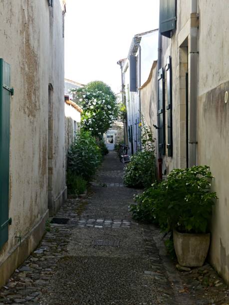 istock View of small houses 2166222565