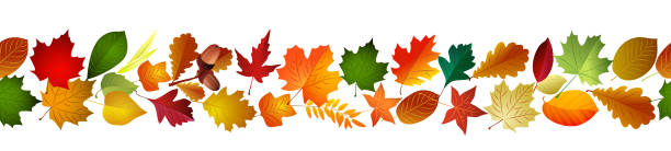 istock Seamless border of autumn leaves. Vector 2166226328