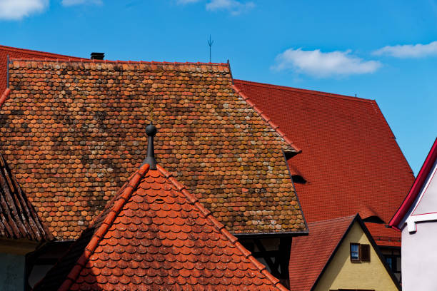 View over the roofs of Dinkelsbuehl
