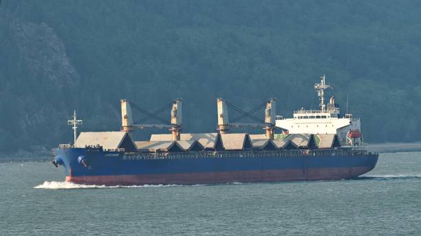 The general cargo vessel \