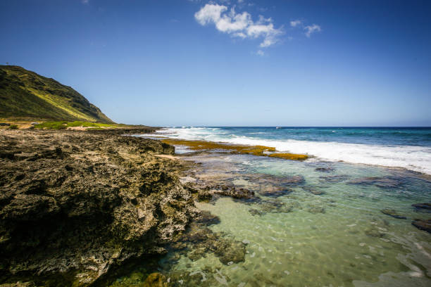 Oahu coastal trail reveals lush greenery, rocky shores, tidepools, and a serene horizon under a blue sky.