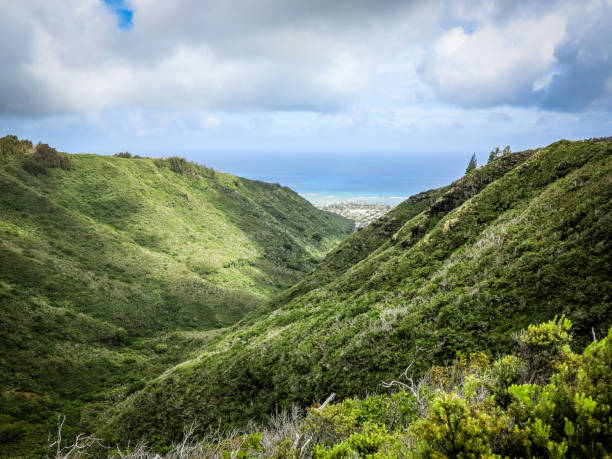 istock Lush Valley with Town and Ocean Horizon 2166243474