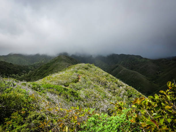 Sunlit Mountain Ridge with Shaded Background