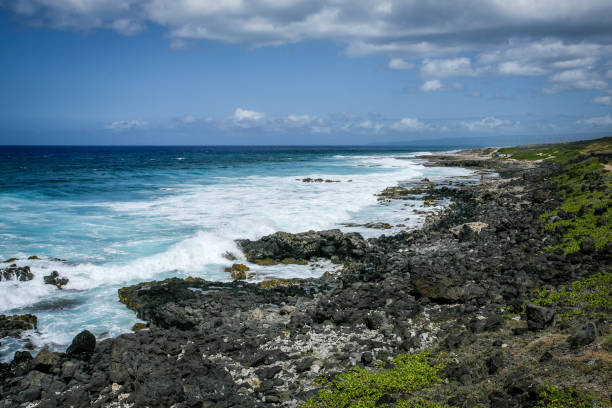 A dramatic black lava rocky coastline with waves crashing against the rocks, under a cloudy blue sky meeting the blue ocean at the horizon, with green plants growing along the shore.