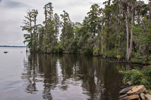 istock Quite Cove on the Neuse River 2166243897