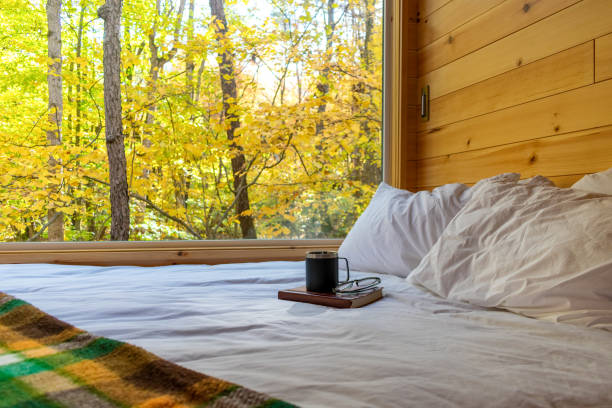 Interior of a tiny cabin in autumn
