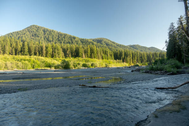 istock Hoh River Spreads Through Wide Valley in Olympic 2166245941