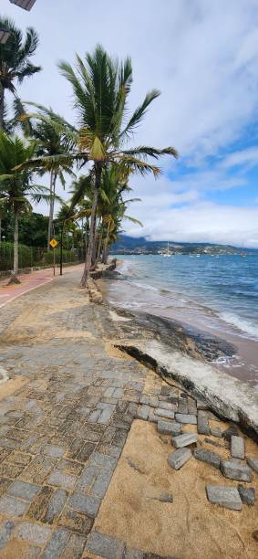 istock Holiday in Beach Brazil 2166245999