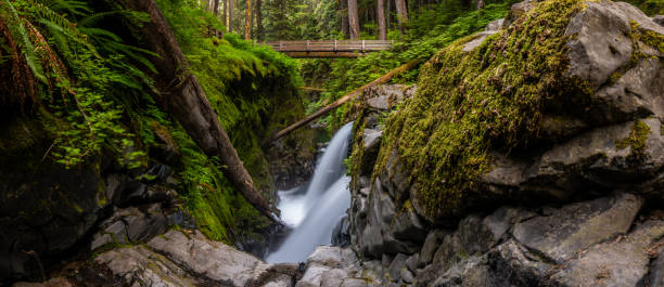 istock Panorama Of Dry Fall Looking Out Over Sol Duc Falls In Olympic 2166246063