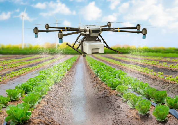 istock Agriculture technology concept with drone fly above and spray fertilizer 2166246598