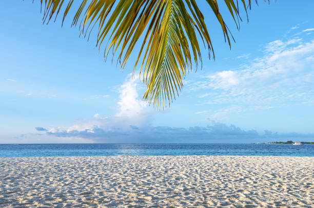 istock Tropical paradise beach Idyllic landscape 2166249603