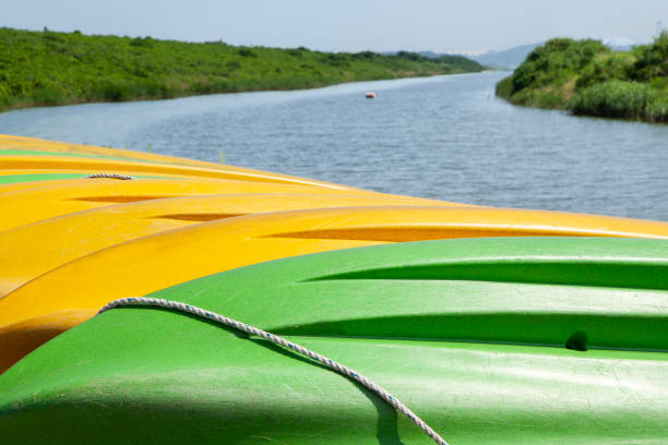 Women paddling, kayaking,  Summer refreshment by the water of a lake in nature. Relaxing and enjoying the lakeside, doing water sports. Green defocused background.