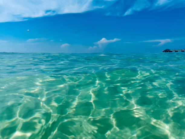 istock Gulf Coast Clarity 2166256063
