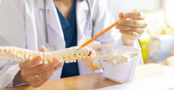 istock close up physical therapist hand pointing on human skeleton at middle back to advise and consult to patient to treatment at office for office syndrome healthcare and concept 2166261185