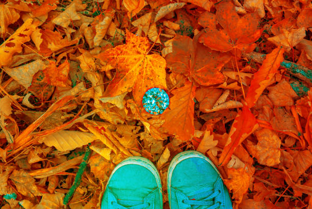 Autumn leaves. Autumn background. Freshness.