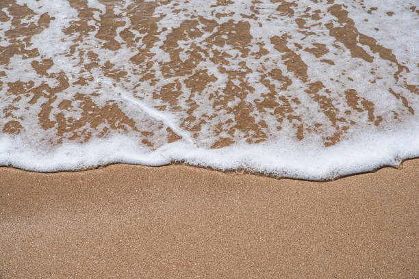 istock A wave arrives on the beach 2166266632