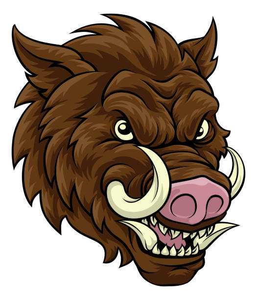 Editable Razorback Hog 60+ Razorback Hog Drawing Stock Illustrations, Royalty-Free Vector ...