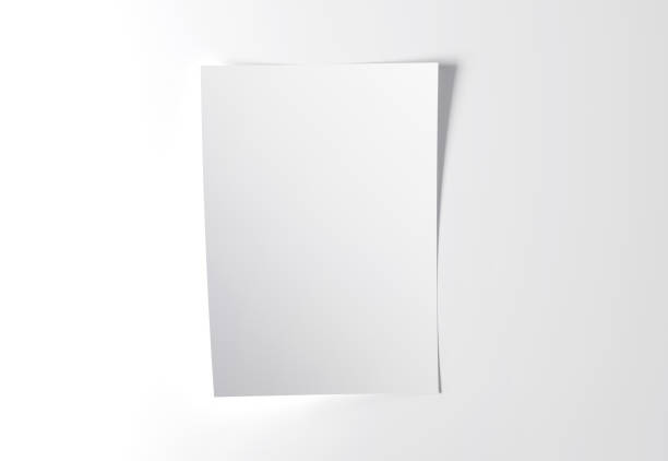 istock Blank vertical 5x7, A4 paper mockup on white background 2166278706