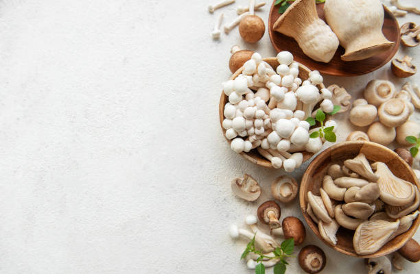 istock Assortment of various raw mushrooms 2166281150