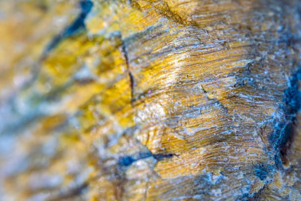 Tiger’s eye mineral stone sample macro photography