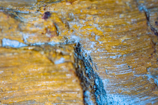 Tiger’s eye mineral stone sample macro photography