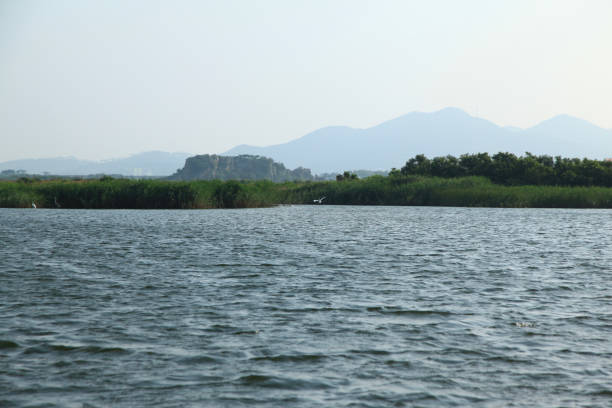 istock calm lake on a sunny day 2166284452