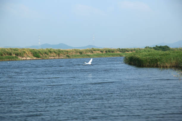 peaceful landscape in the rural area