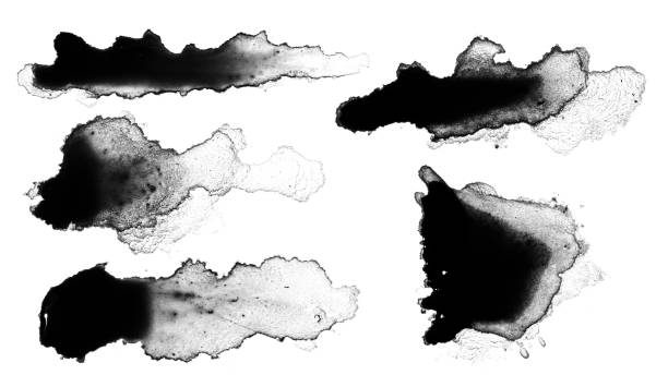 istock set black paint or ink stain spread as a spot or splash on a clean background 2166292518