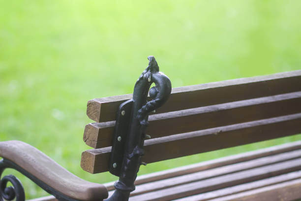 Rest zone in a park. A wooden bench with metal details.