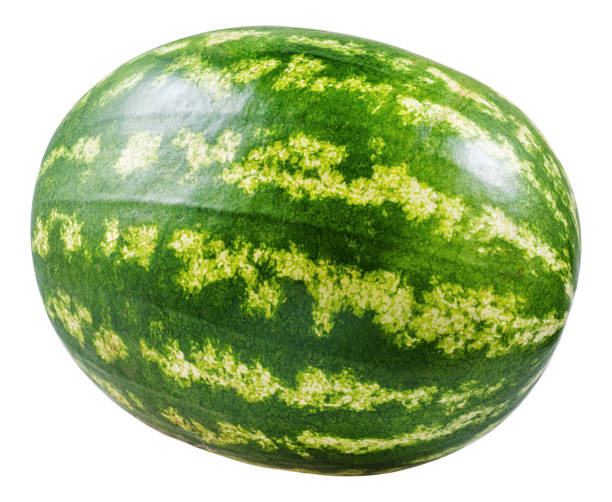 istock Whole ripe watermelon isolated 2166300274