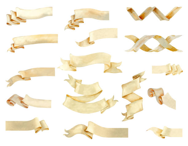 Set of paper beige ribbon banners and ornament elements for decorative text of various lengths. Watercolor illustration of a vintage scroll, manuscript. Rolled paper banner templates in pastel beige and brown colors.