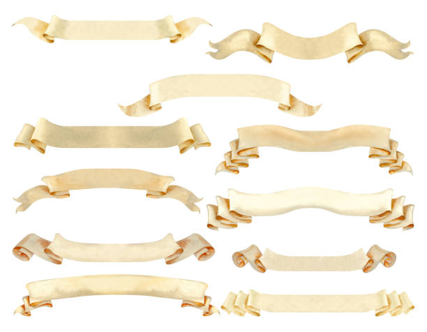 Set of paper beige ribbon banner elements for medium length texts or logo. Watercolor illustration of a vintage scroll, manuscript. Rolled paper banner templates in pastel beige and brown colors.