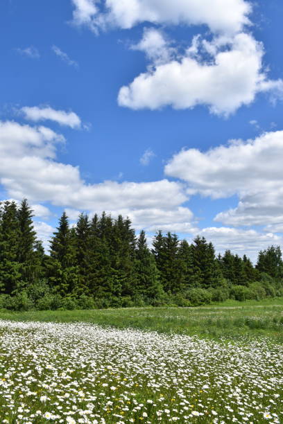Farm and crops in rural Manitoba Canada