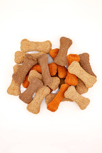 istock Fun colorful dog cookies 2166310208