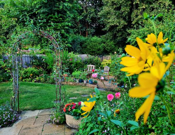 istock In the garden 2166310991