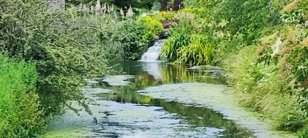 istock A beautiful mini water along a river in Wells Somerset England UK 2166325821