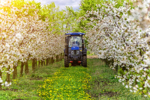 istock Apple fruit tree spraying with a tractor and agricultural machinery in summer.Blossoming trees in spring in rural scenery with deep blue sky.Spraying orchard to protect against disease and insects. 2166326167
