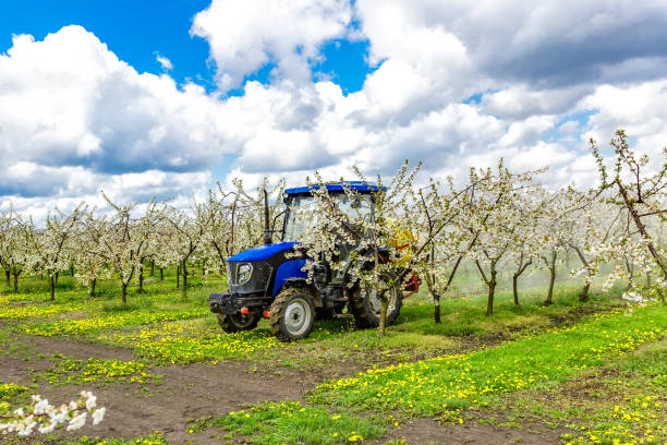 istock Apple fruit tree spraying with a tractor and agricultural machinery in summer.Blossoming trees in spring in rural scenery with deep blue sky.Spraying orchard to protect against disease and insects. 2166326180