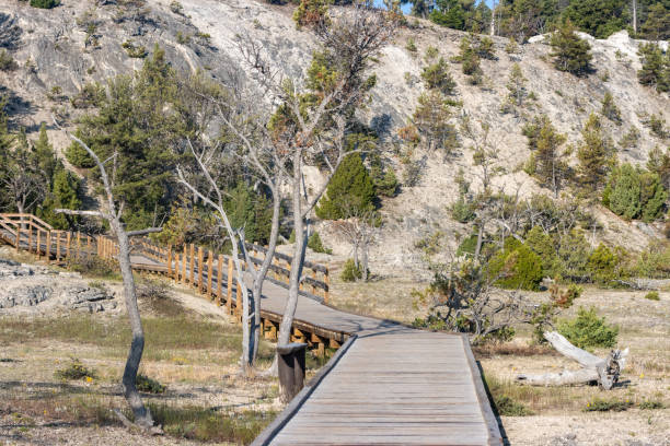 istock Boardwalk at Mammoth Hot Springs in Yellowstone National Park, Wyoming 2166326607