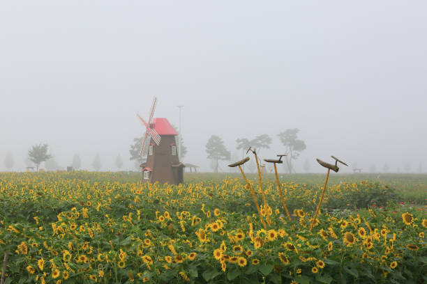 Wind turbine replace old coal power plant with high voltage electricity power line for clean energy