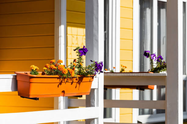 istock flowerpot pendant with multi-colored petunias, close-up. 2166329305
