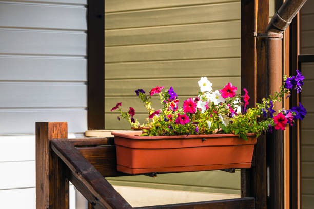 istock flowerpot pendant with multi-colored petunias, close-up. 2166329341