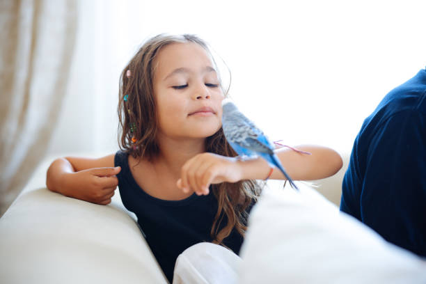 istock Young Girl Playing With Pet Budgerigar 2166331025